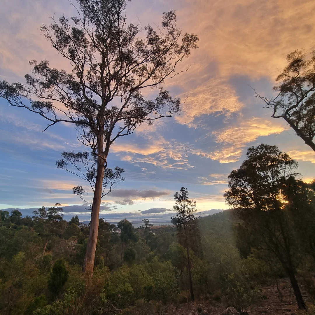 Additional image 4 of 39 Reef View Road, Murdunna TAS 7178