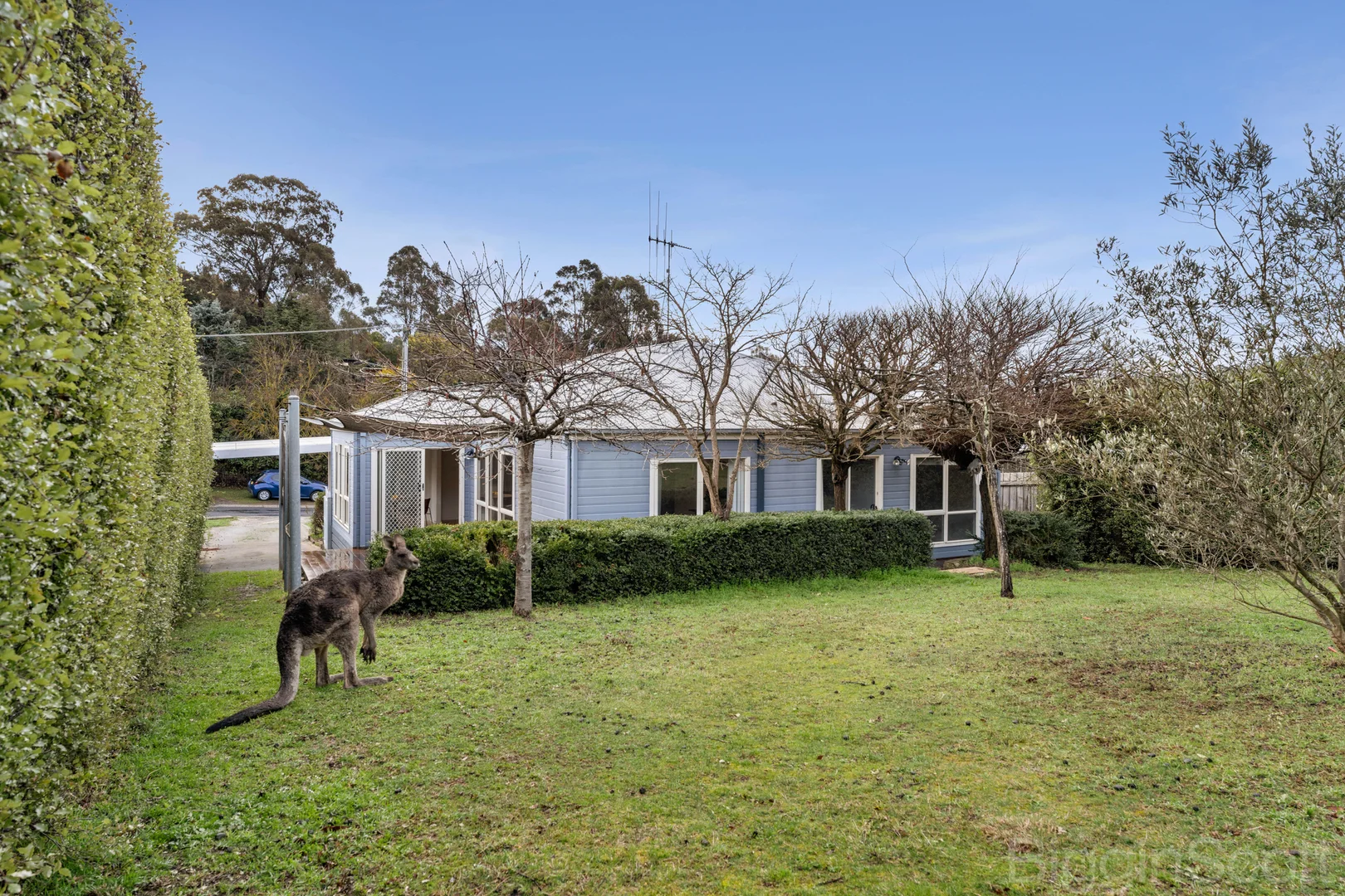 Additional image 19 of 12 Wynvale Rise, Hepburn VIC 3461