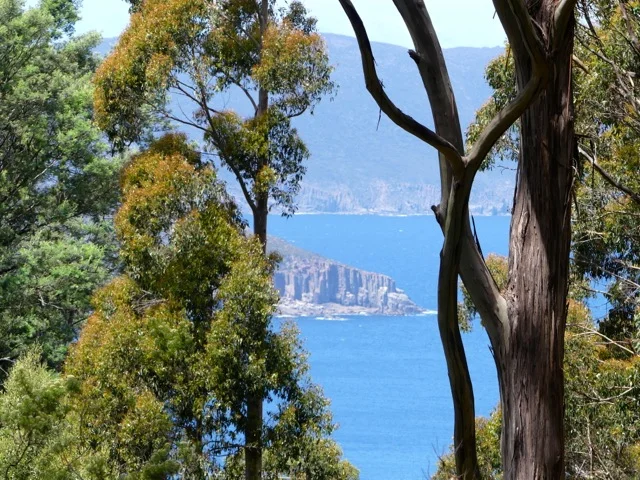 Lot 2 Lookout Road, Port Arthur TAS 7182