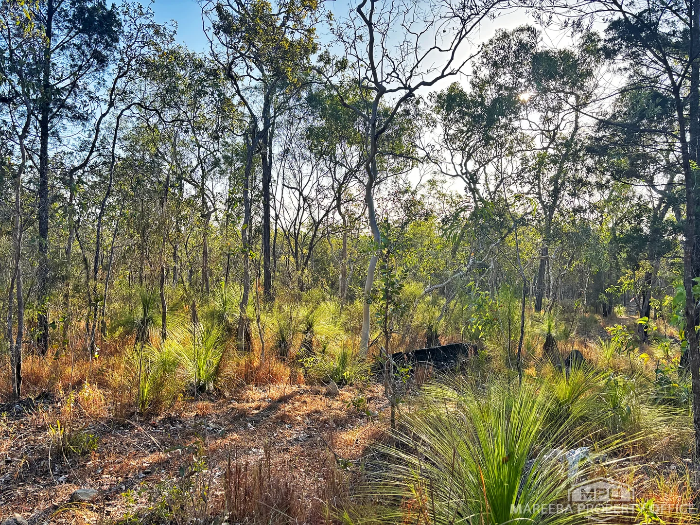 Additional image 3 of Lot 174 Fantin Road, Koah QLD 4881