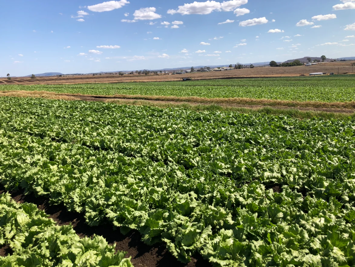 Additional image 19 of "Westview" 189 Toowoomba-Karara Road, Finnie QLD 4350