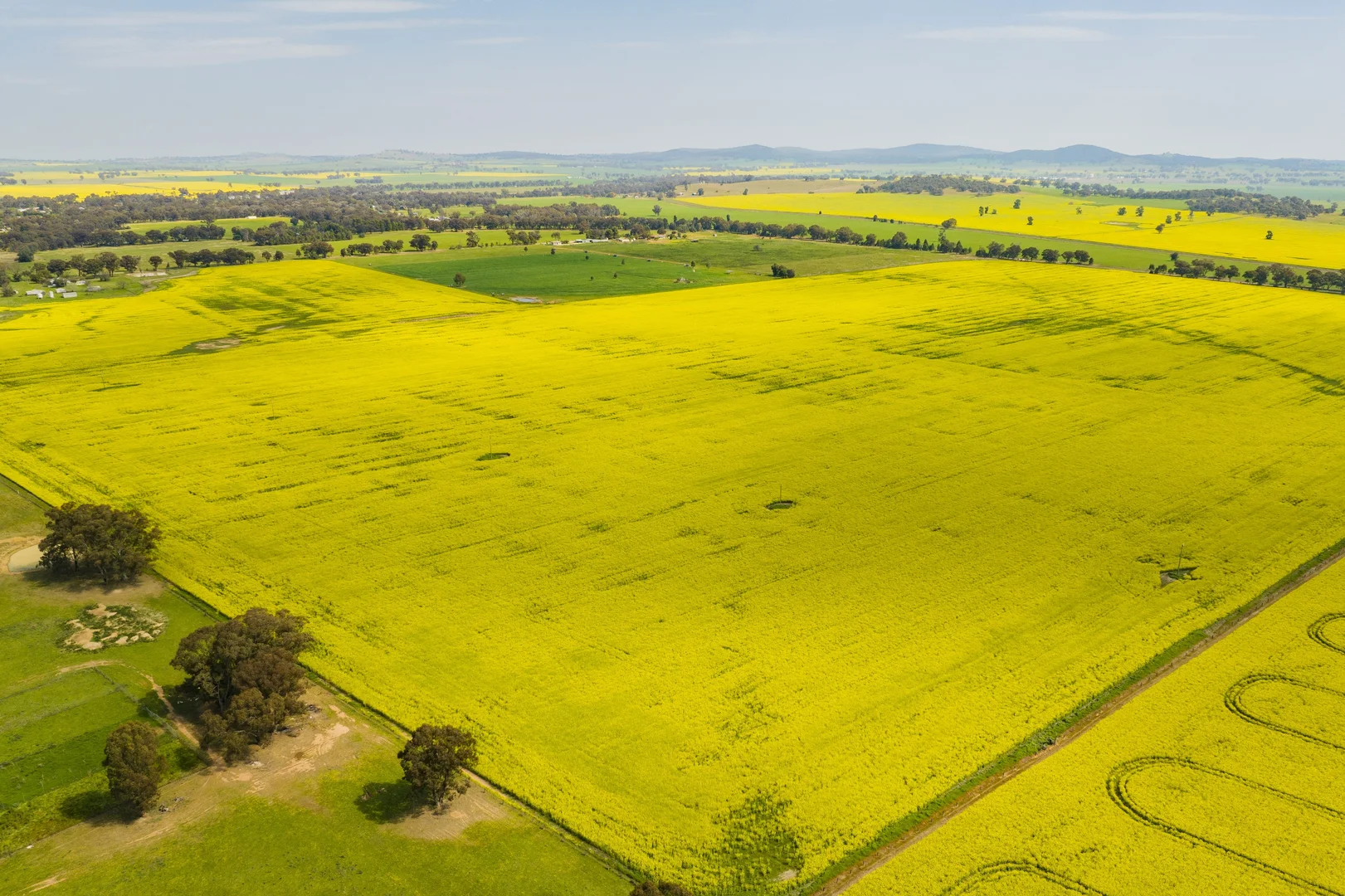 Additional image 7 of 93 Racecourse Lane, Stockinbingal NSW 2725