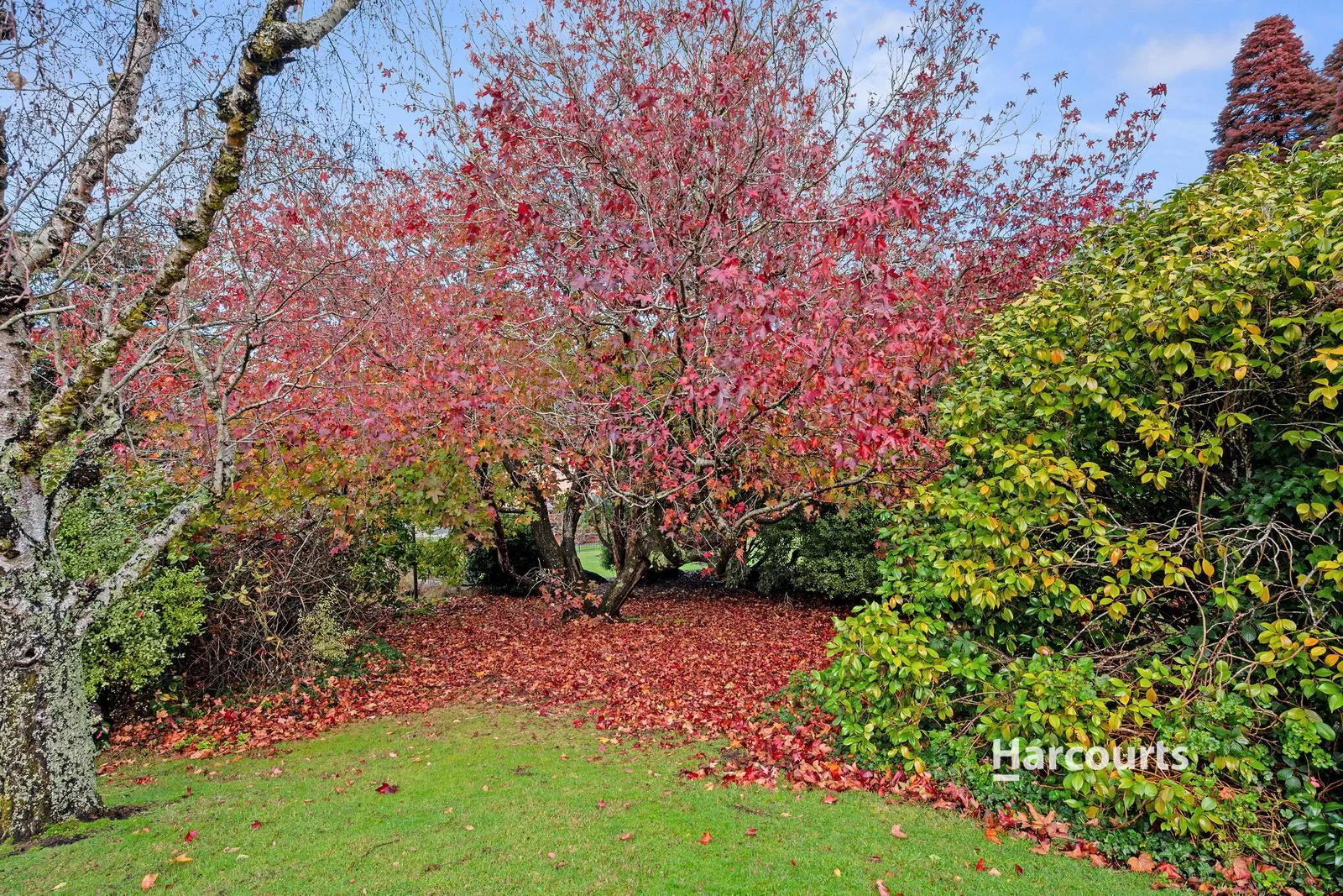 Additional image 17 of 133 South Road, West Ulverstone TAS 7315