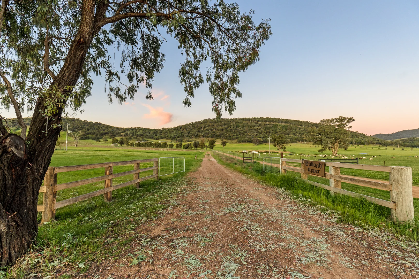 Additional image 14 of 229 Melrose Road, Mudgee NSW 2850