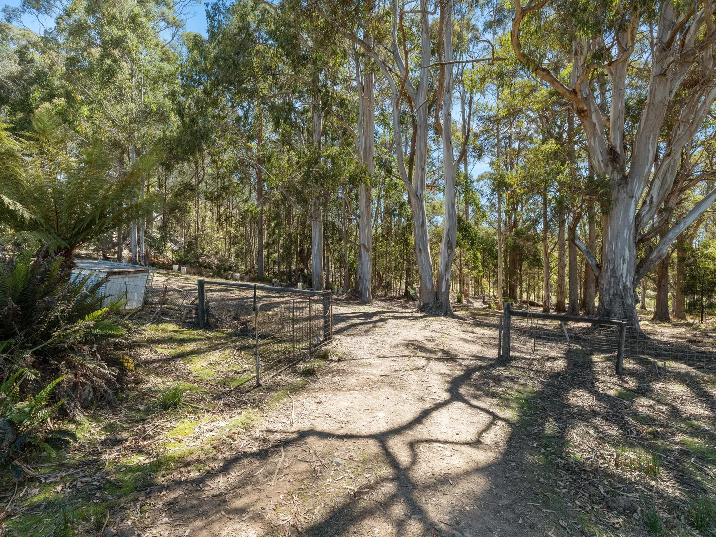 Additional image 39 of 38 Kop Road, Erriba TAS 7310