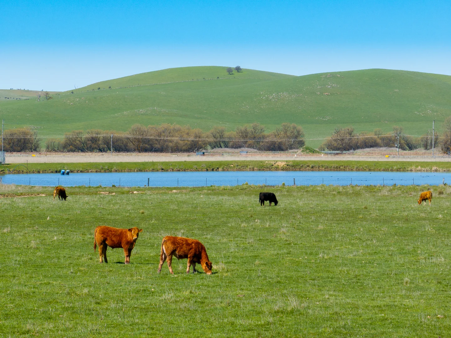 Additional image 6 of 3580 Mid Western Highway, Blayney NSW 2799