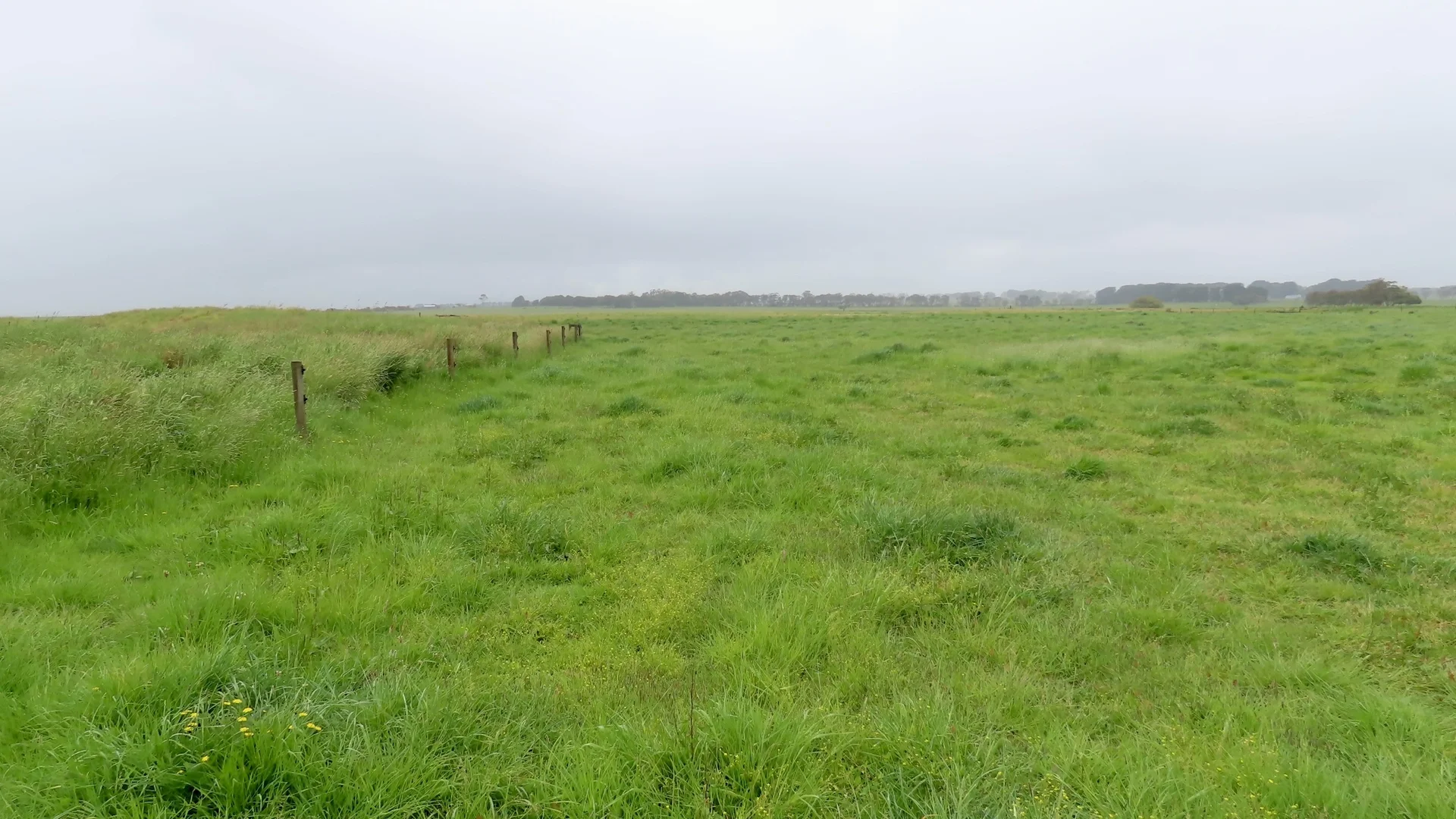 Additional image 28 of Contact Agent, Macarthur VIC 3286