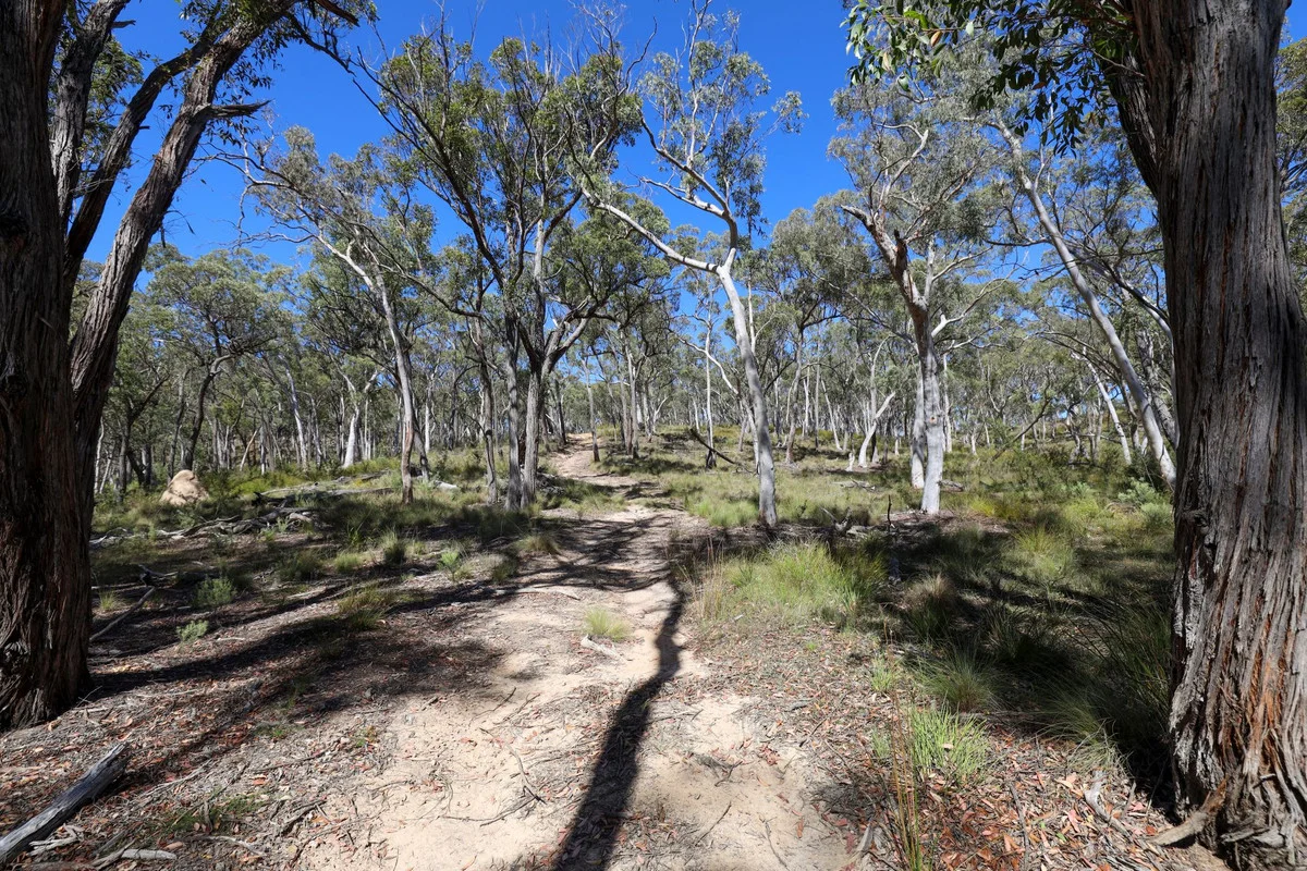 Additional image 4 of 494 Jerralong Road, Oallen NSW 2622