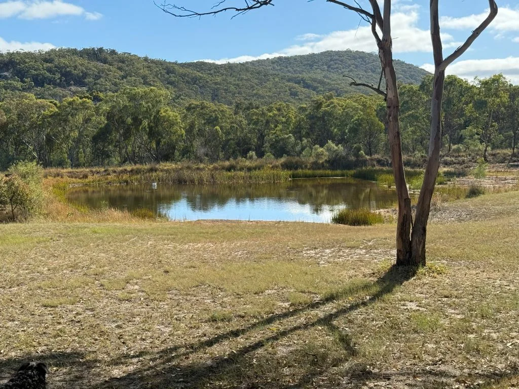 Additional image 4 of 149 Horans Gorge Rd, Fletcher QLD 4381