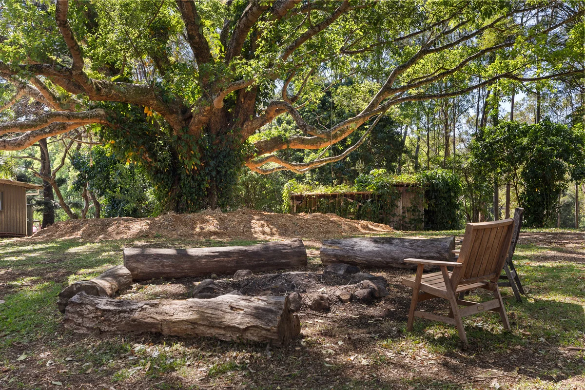 Additional image 26 of 121 Binna Burra Road, Binna Burra NSW 2479