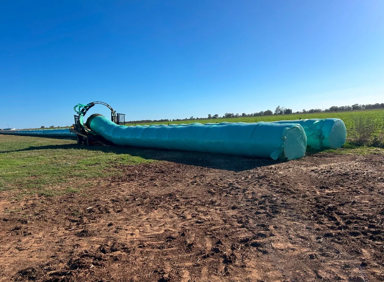 Additional image 35 of 229 Elliots Lane, Forbes NSW 2871