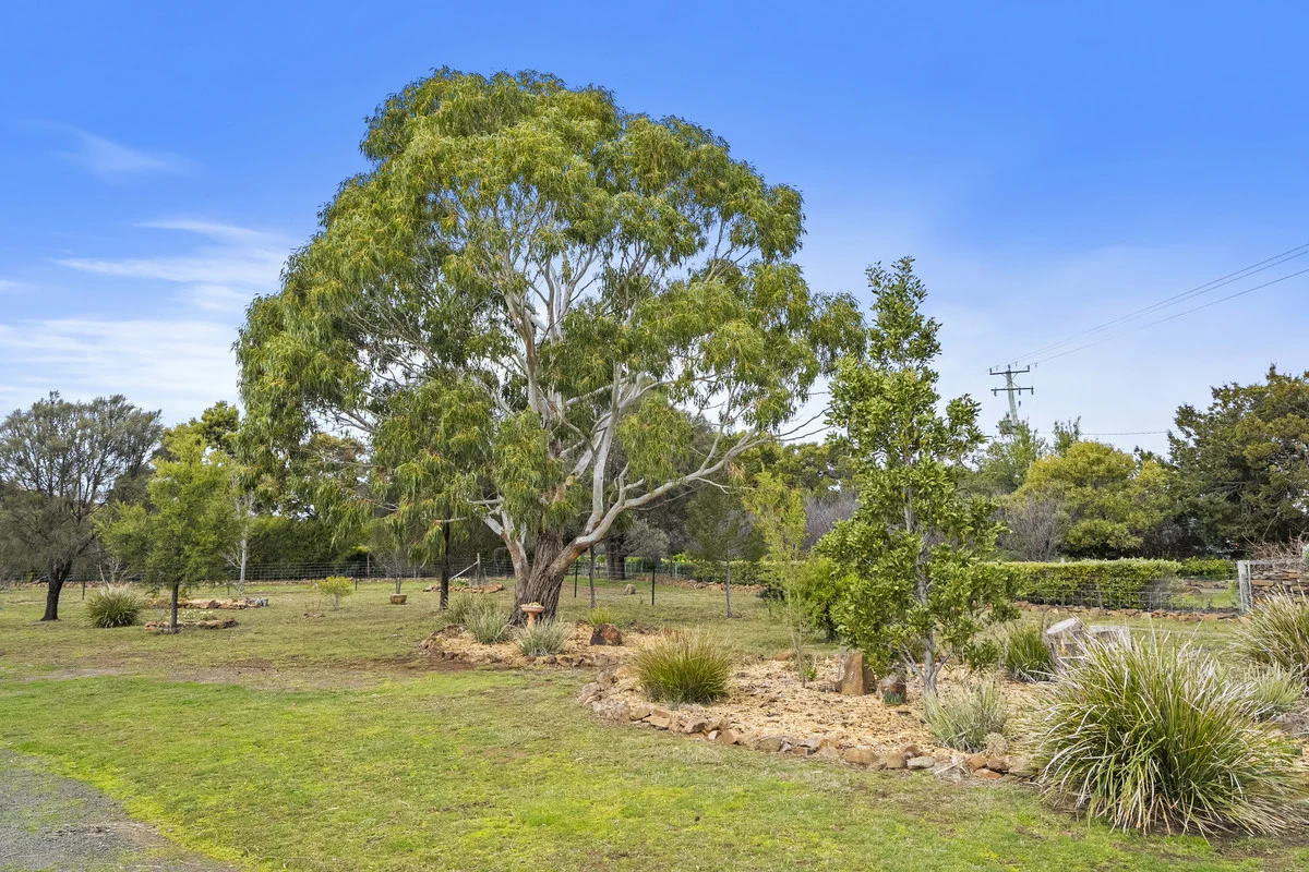 Additional image 26 of 7A Burgess Street, Swansea TAS 7190