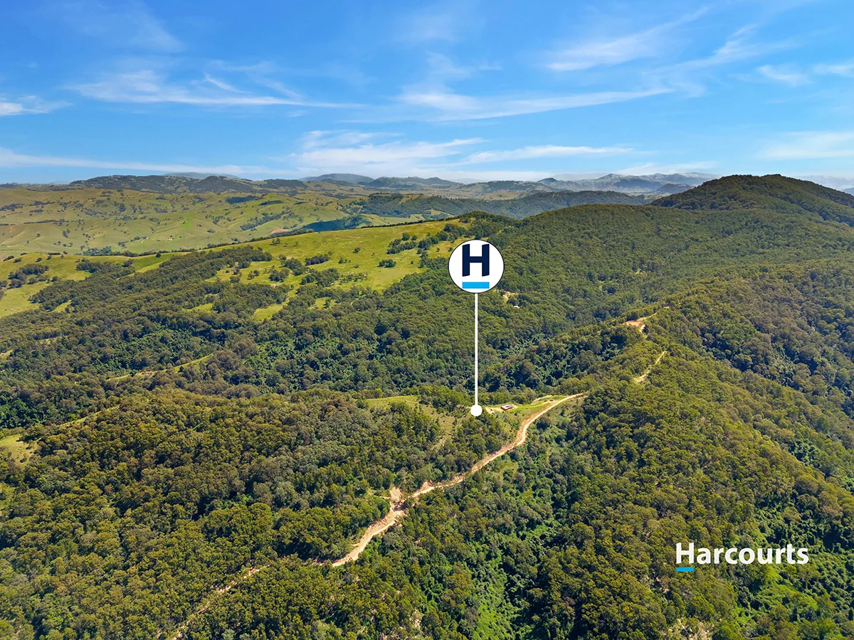 Additional image 9 of 815 Goorangoola Creek Road, Goorangoola NSW 2330