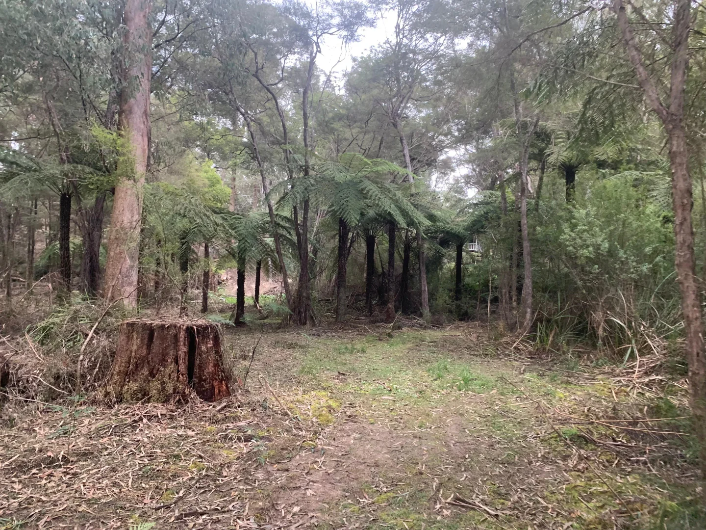 Additional image 6 of 23 Wombat Crescent, East Warburton VIC 3799