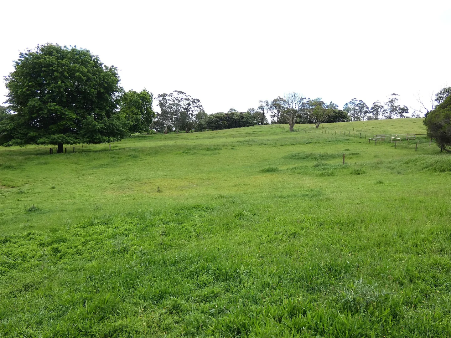 Additional image 22 of 125 Sheepstation Creek Road, Yellingbo VIC 3139