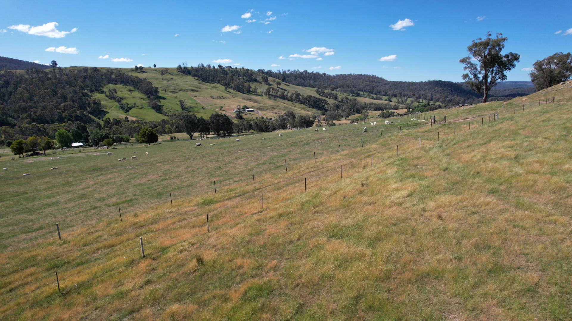 Additional image 8 of 580 Batlow Road, Tumbarumba NSW 2653
