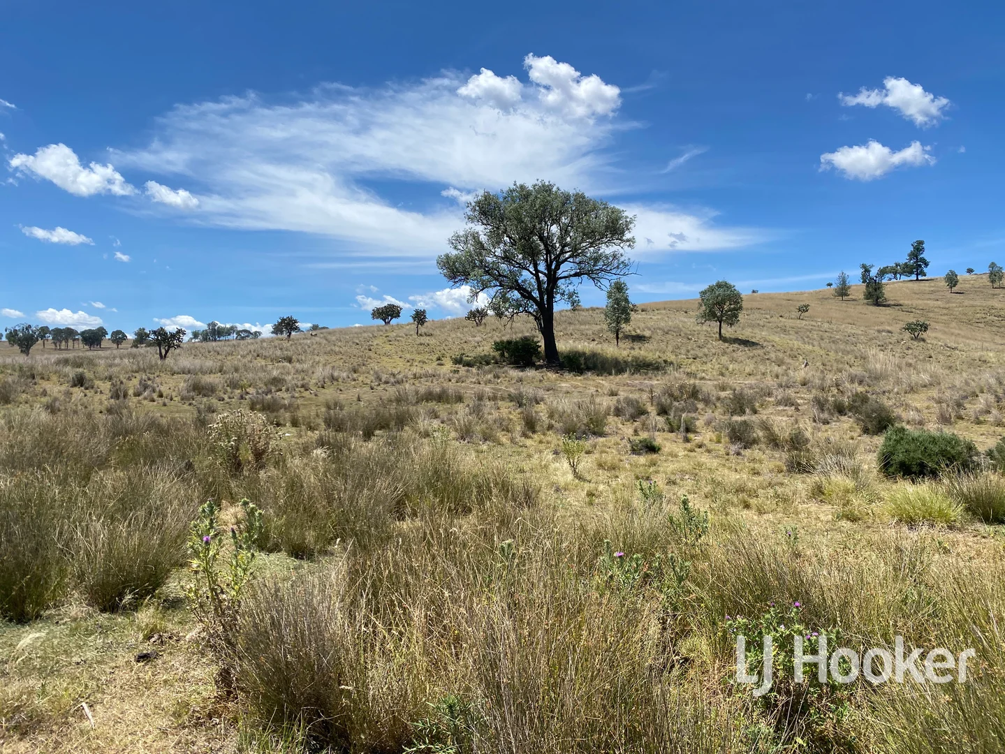 Additional image 15 of 1198 Bukkulla Road, Inverell NSW 2360