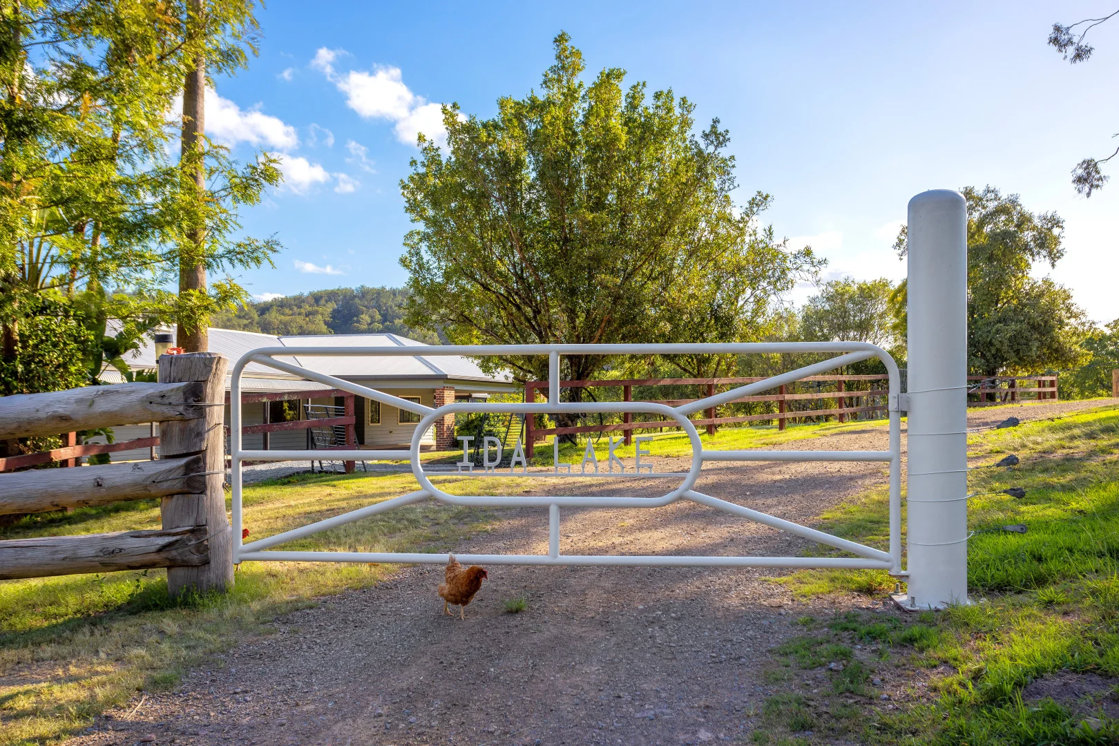 Additional image 21 of 424 Norwood Lane, Mount George NSW 2424