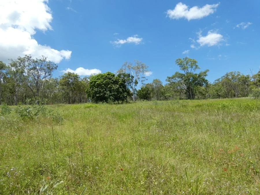 Additional image 27 of Lot 41 Moolyung Road, Waterloo QLD 4673