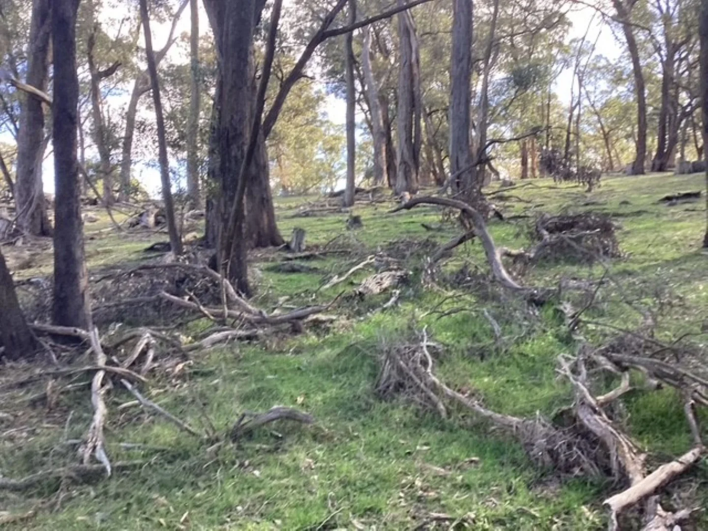 Additional image 16 of 45 Clarendon - Lal Lal Road, Clarendon VIC 3352