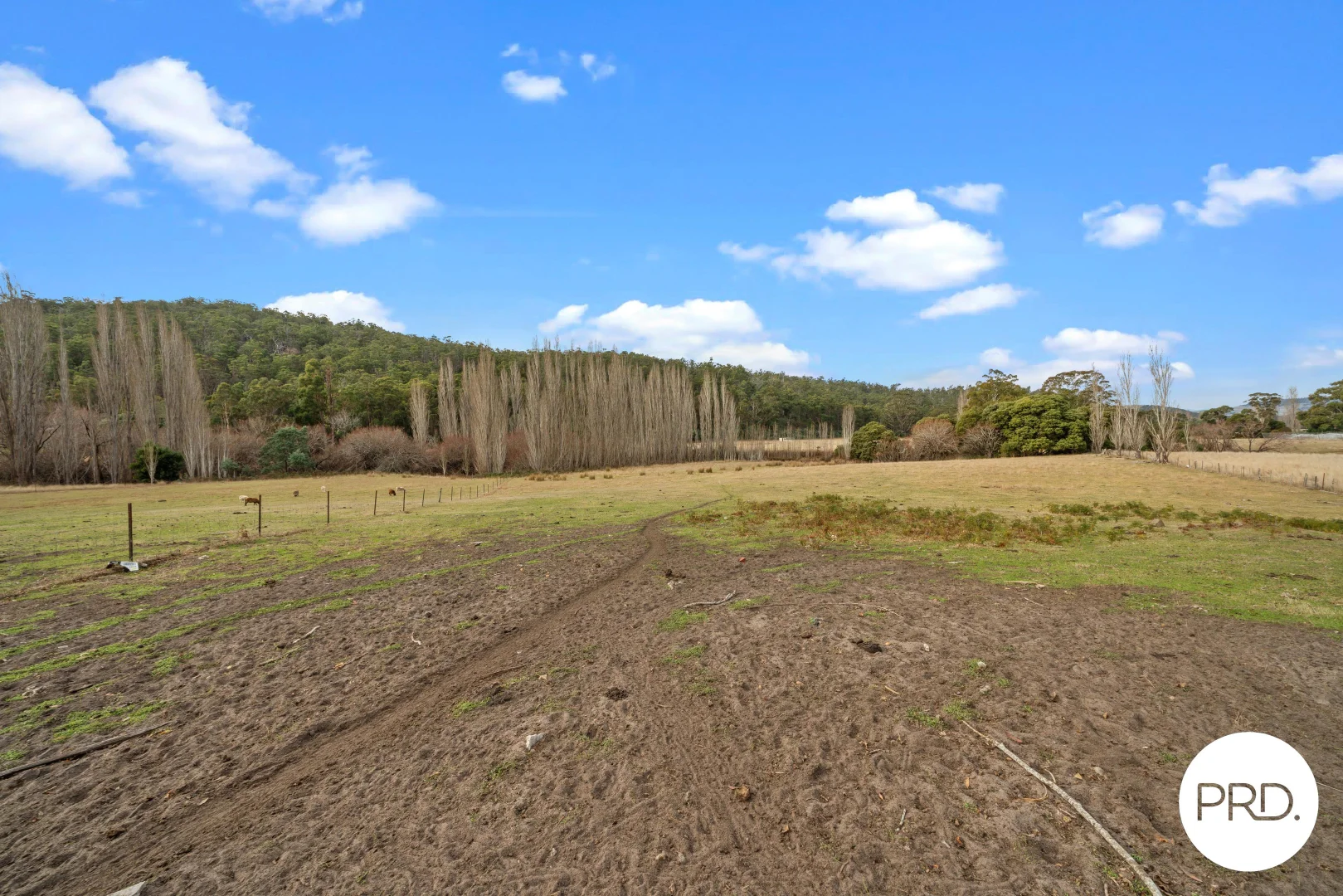 Additional image 30 of 240 Ellendale Road, Fentonbury TAS 7140