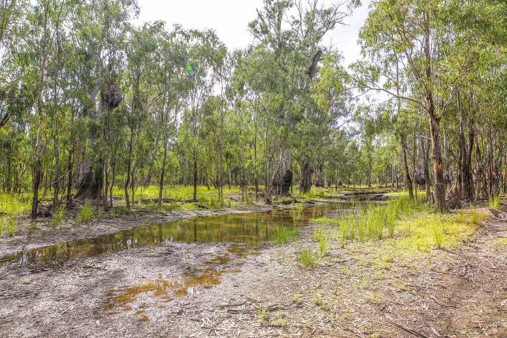 Additional image 5 of Lot 19, 20, 23 & 24 - 650 Yarraman Road, Moama NSW 2731