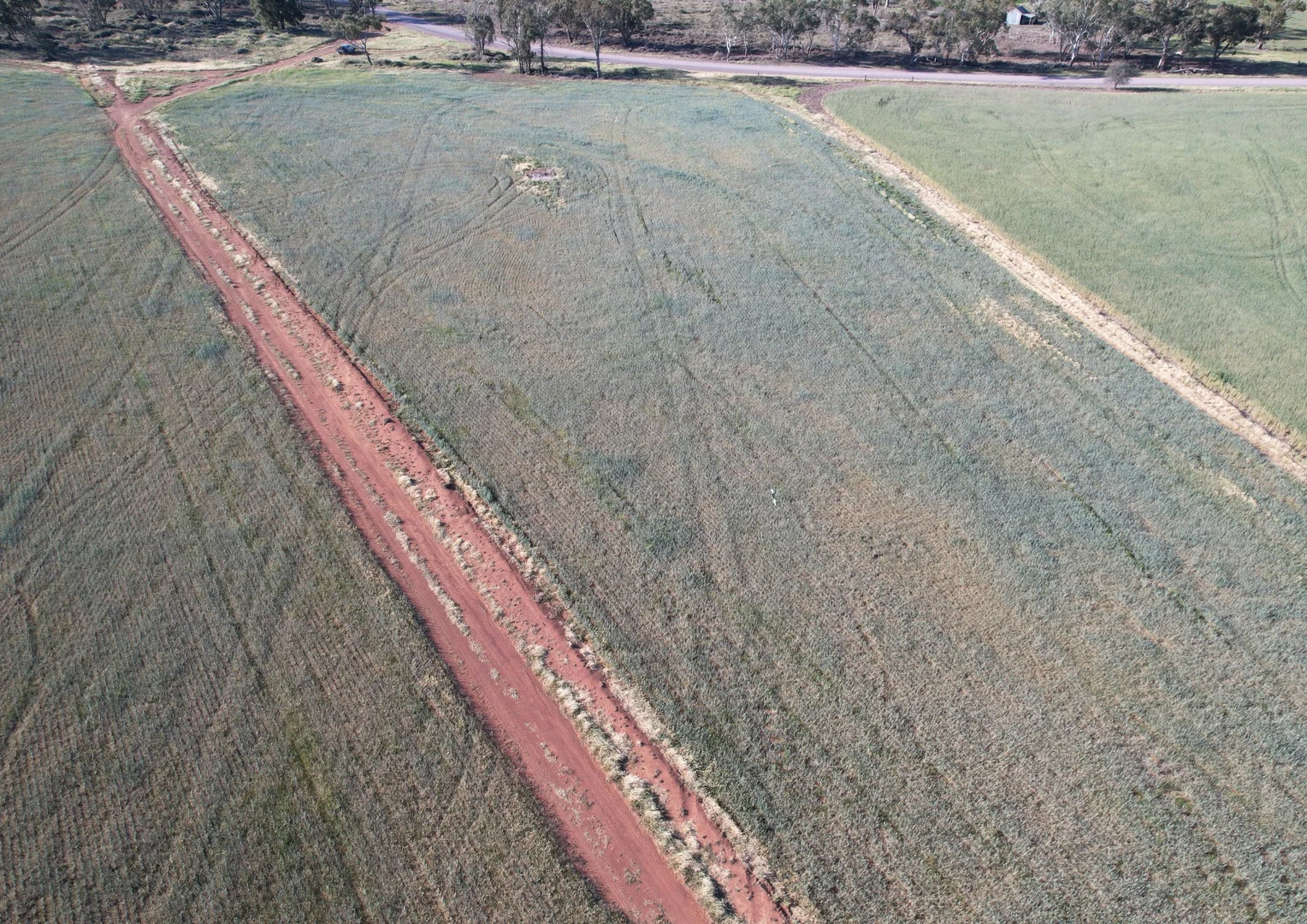 Additional image 14 of 1404 Lake Cowal, Forbes NSW 2871