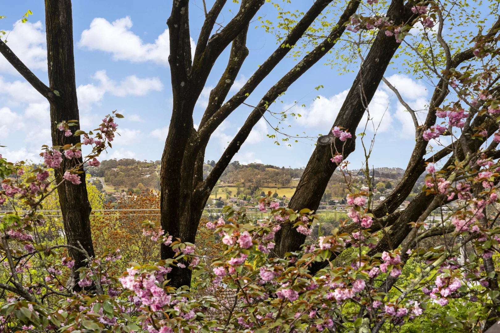 Additional image 19 of 58 Garibaldi Street, Armidale NSW 2350