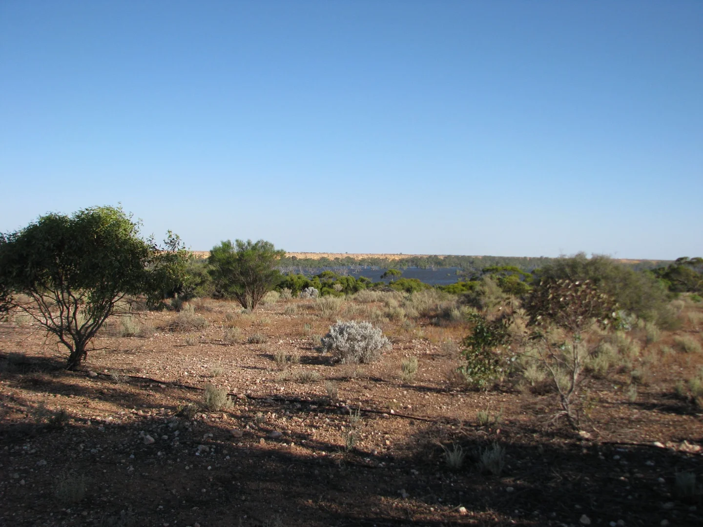 Additional image 6 of lot 1000 Merivale Street, Blanchetown SA 5357