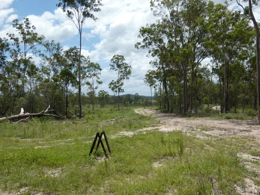 Additional image 32 of Lot 41 Moolyung Road, Waterloo QLD 4673