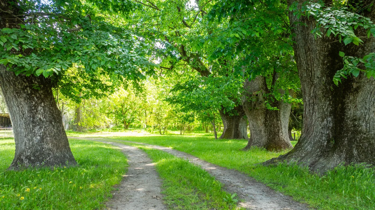 Additional image 3 of 672 Lima East Road, Lima East VIC 3673