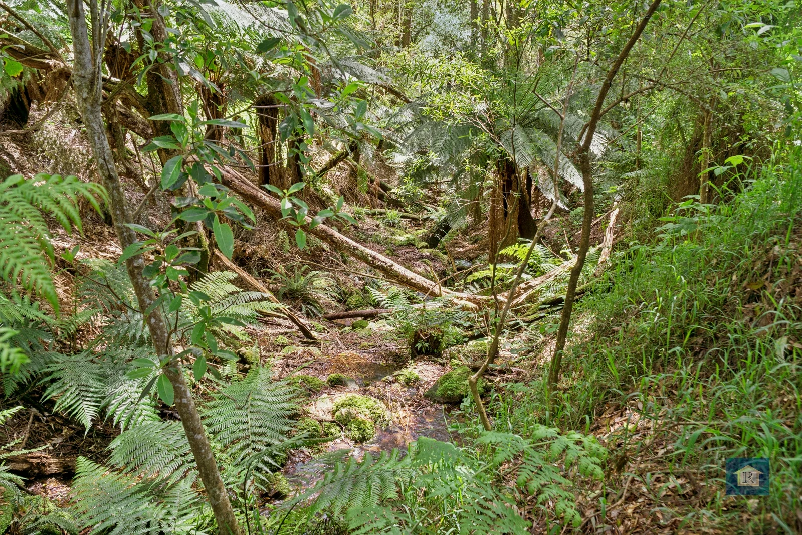 Additional image 8 of 59 Southorn Street, Beech Forest VIC 3237