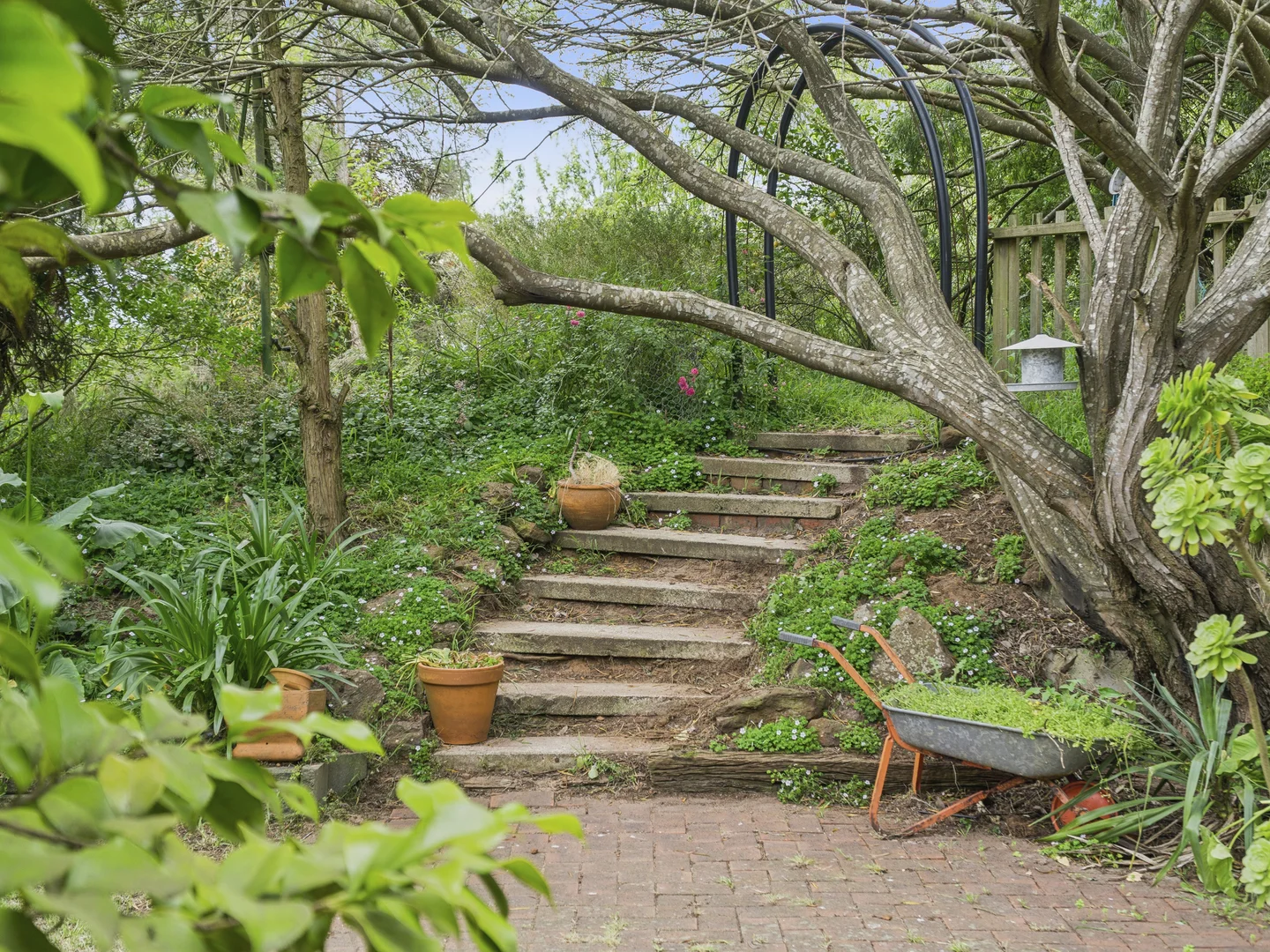 Additional image 16 of 205 Shorts Road, Elliminyt VIC 3250