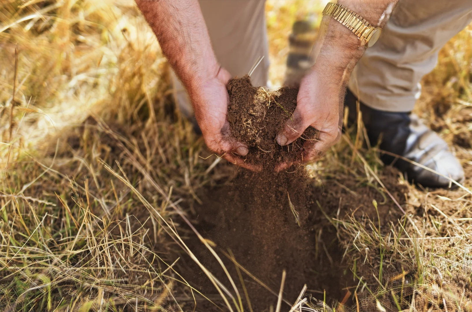 Additional image 31 of 496 Blackwood Creek Road (access via Hodgetts Road), Blackwood Creek TAS 7301