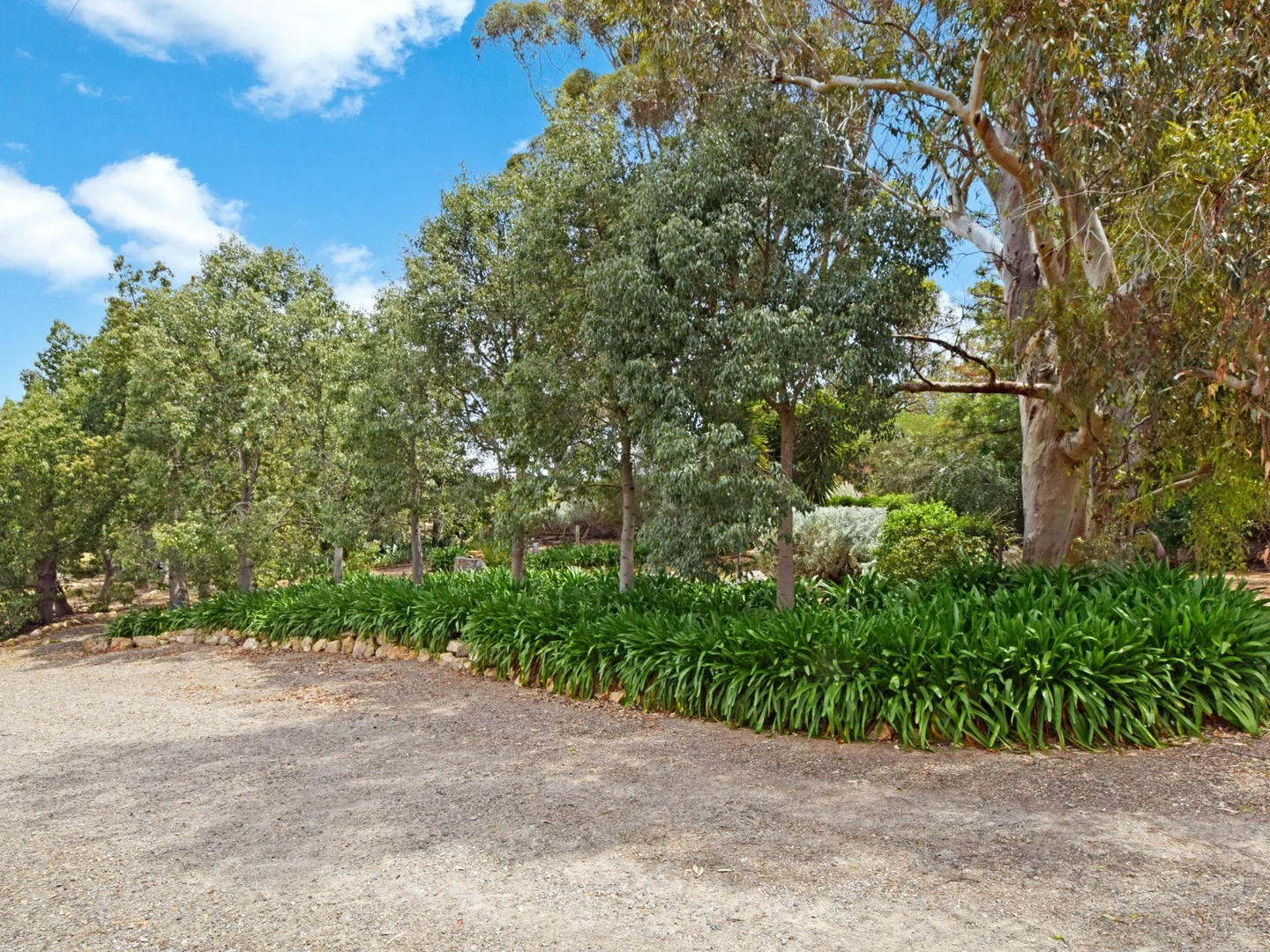 Additional image 32 of 20 Quamby SS Road, Young NSW 2594