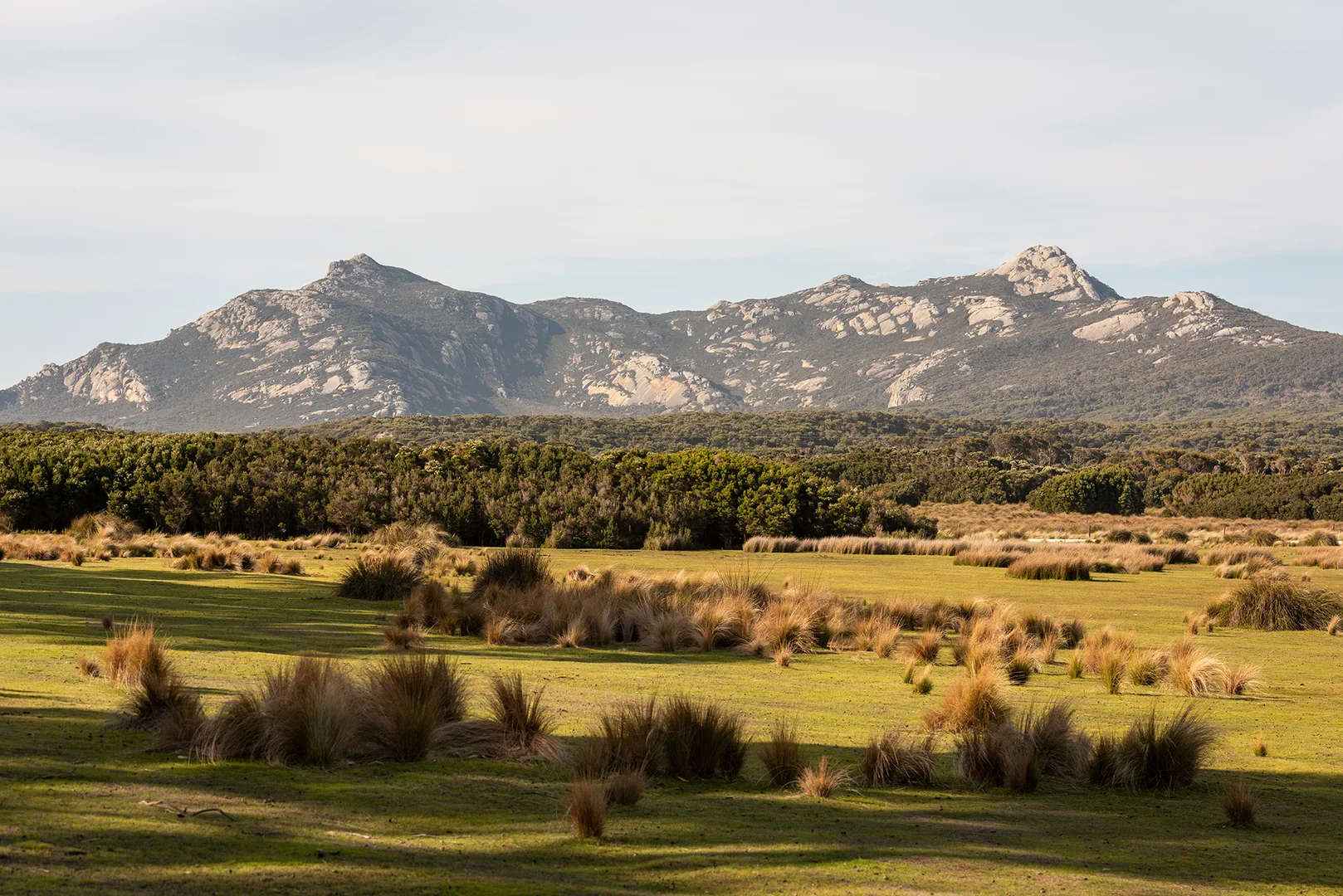 Additional image 15 of . Killiecrankie Road, Killiecrankie TAS 7255