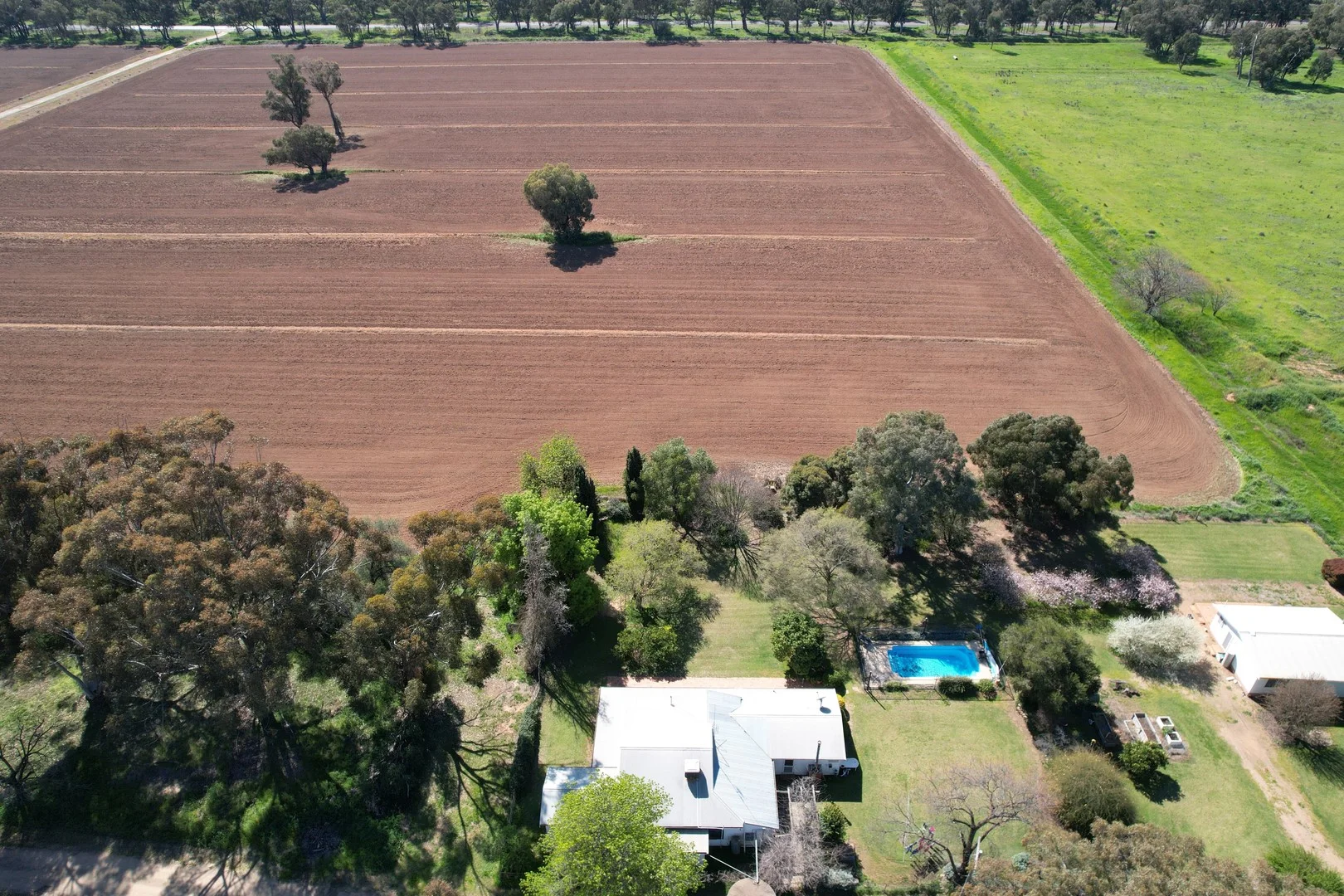 Additional image 2 of "Allandale" 7861 Lachlan Valley Way, Forbes NSW 2871