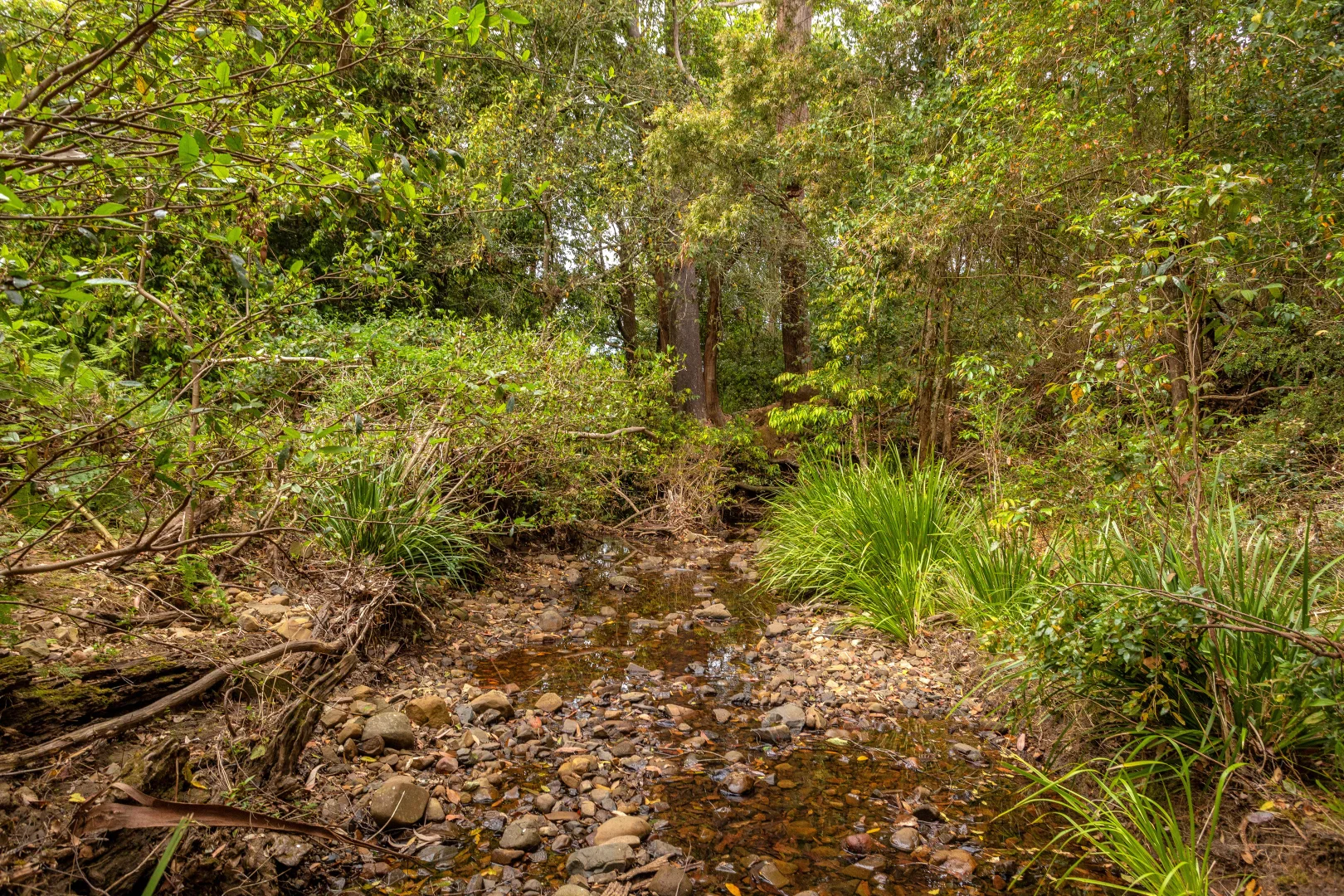 Additional image 6 of 180 Norries Road, Bunyah NSW 2429