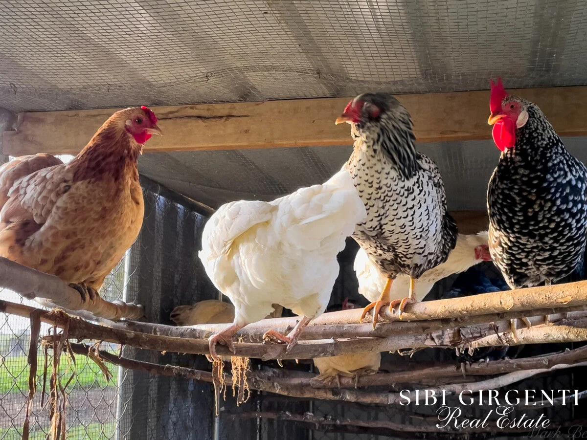 Additional image 29 of 238 Hemmings Lane, Upper Barron QLD 4883