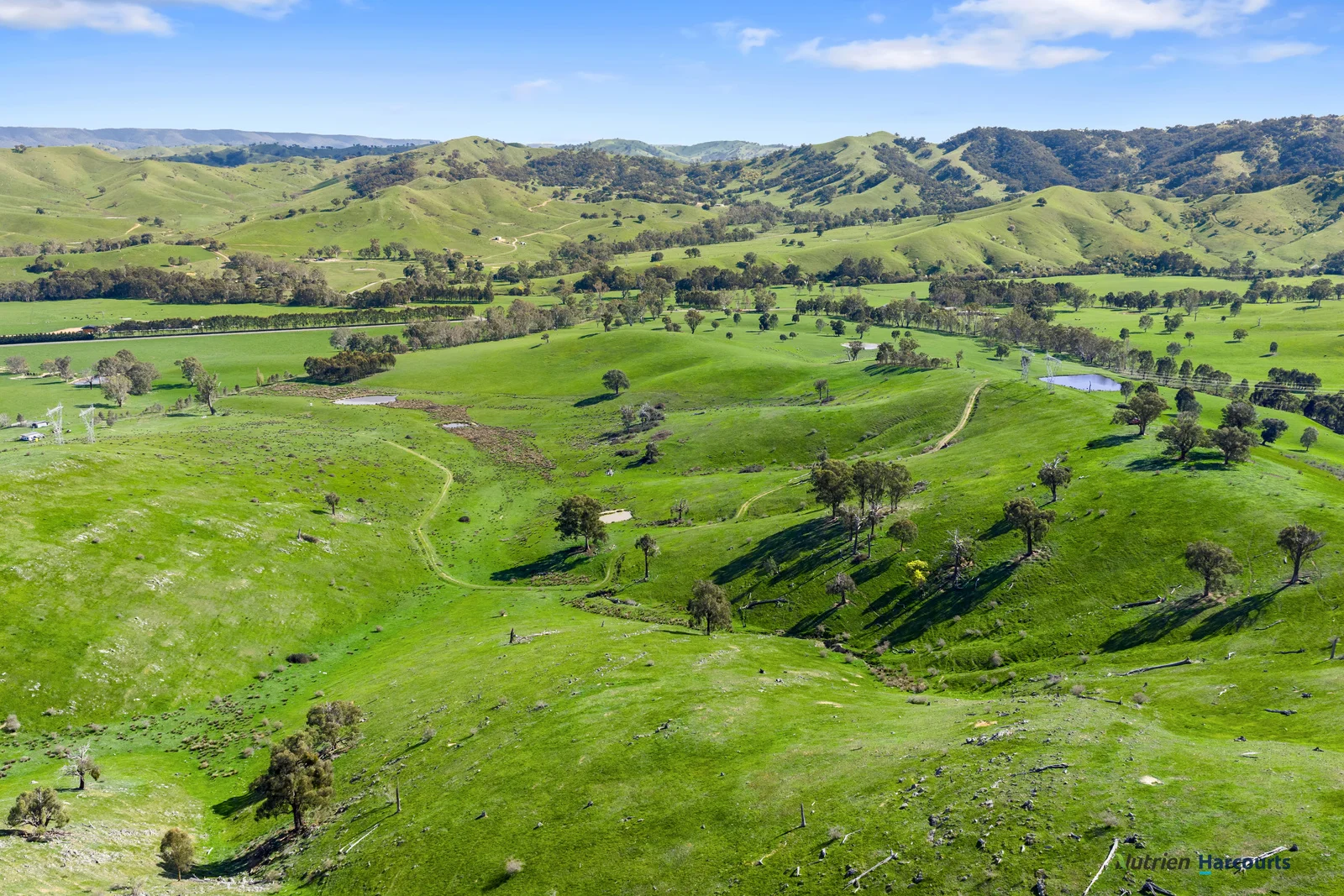 Additional image 8 of 53 Halls Outlet Road, Alexandra VIC 3714