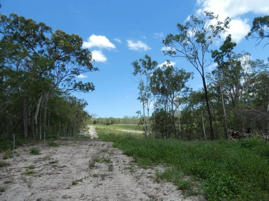 Additional image 28 of Lot 41 Moolyung Road, Waterloo QLD 4673