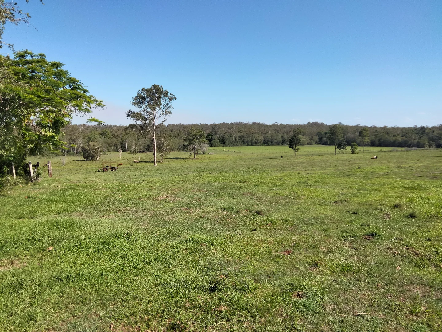 Additional image 46 of 2913 Rosedale Road, Yandaran QLD 4673