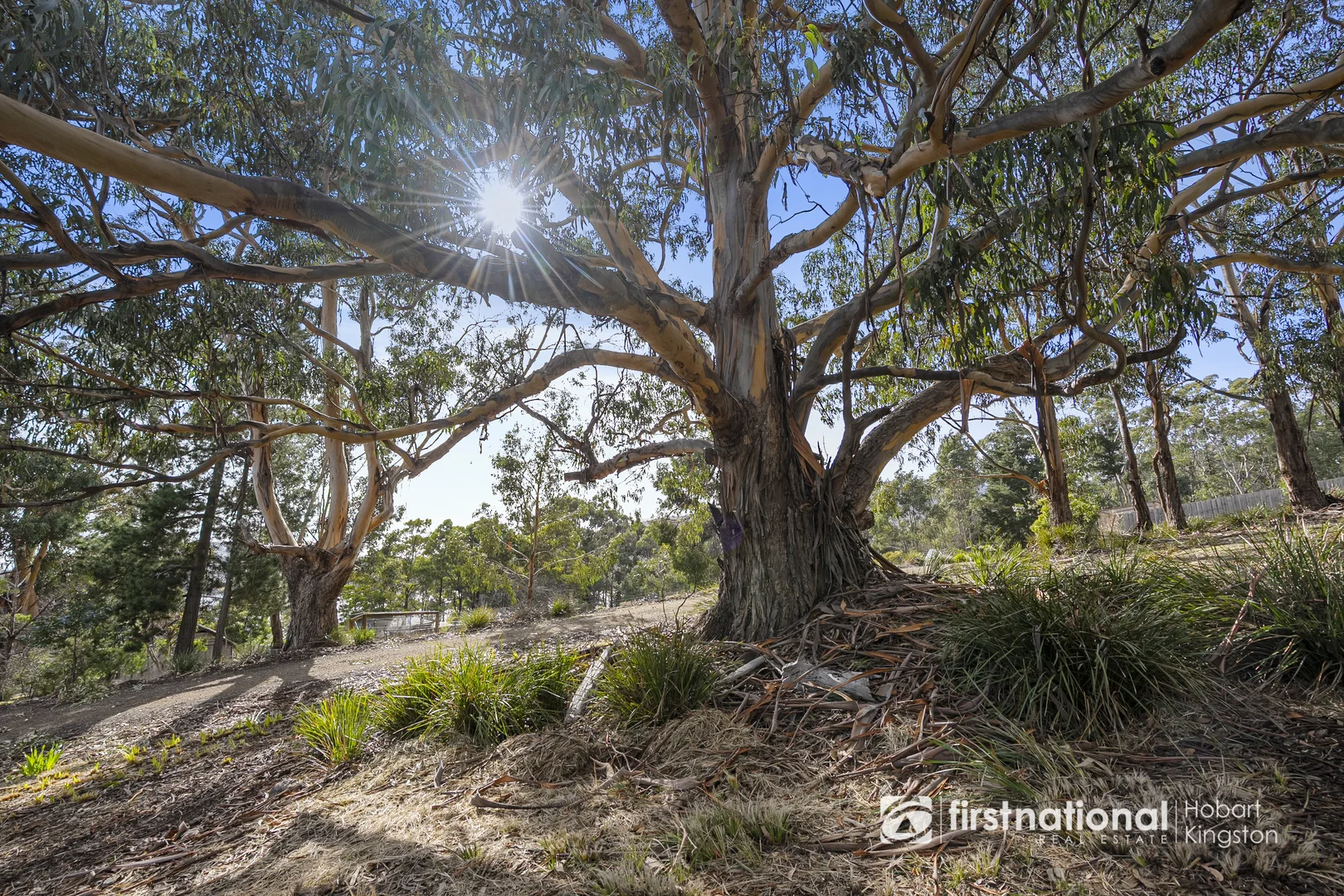 Additional image 14 of 11 Lighthouse Road, Lunawanna TAS 7150