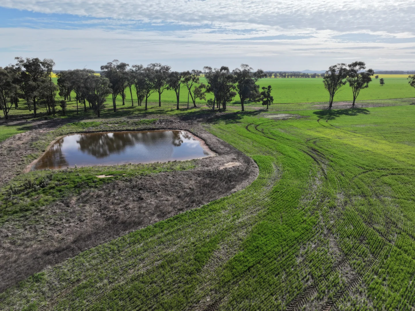 Additional image 7 of Part 'Girraween' Schmidts Lane, Quandary NSW 2665