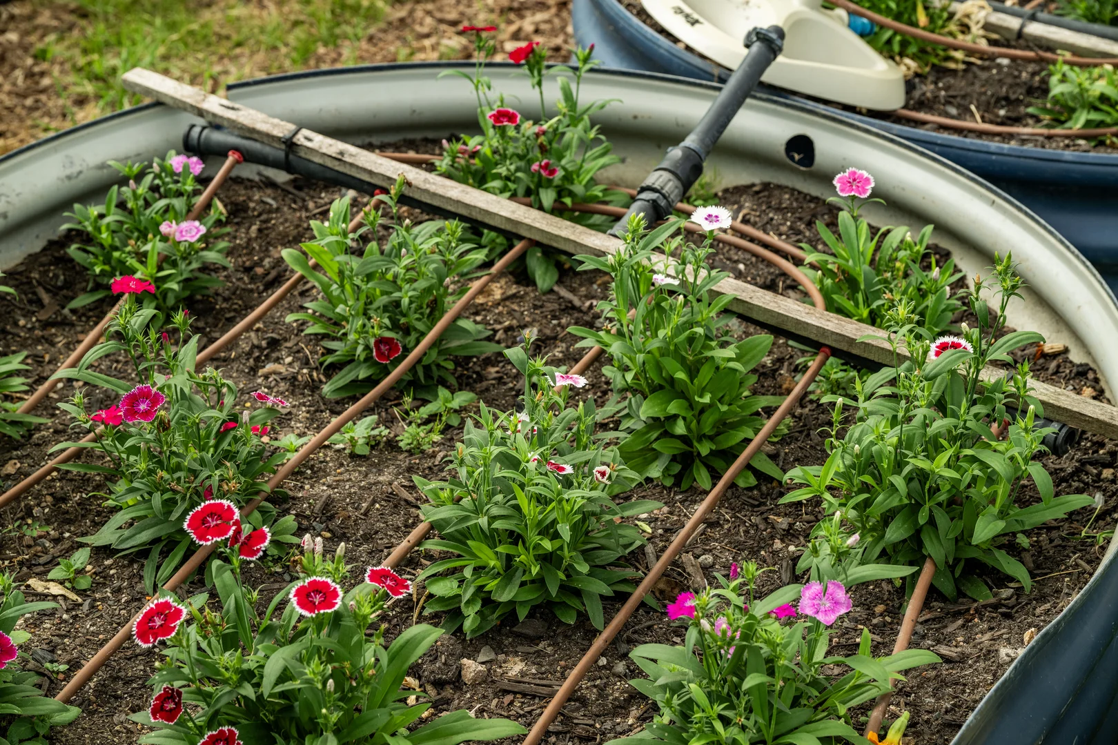 Additional image 34 of 44 Glen Nathan Court, Mount Nathan QLD 4211