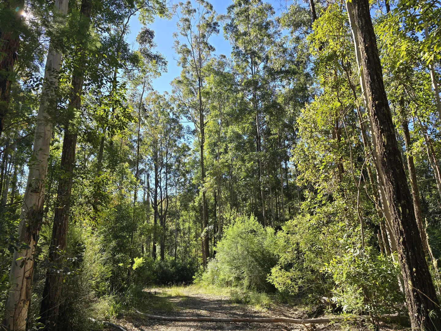 Additional image 13 of 0 SUNDAY CREEK ROAD, Jimna QLD 4515