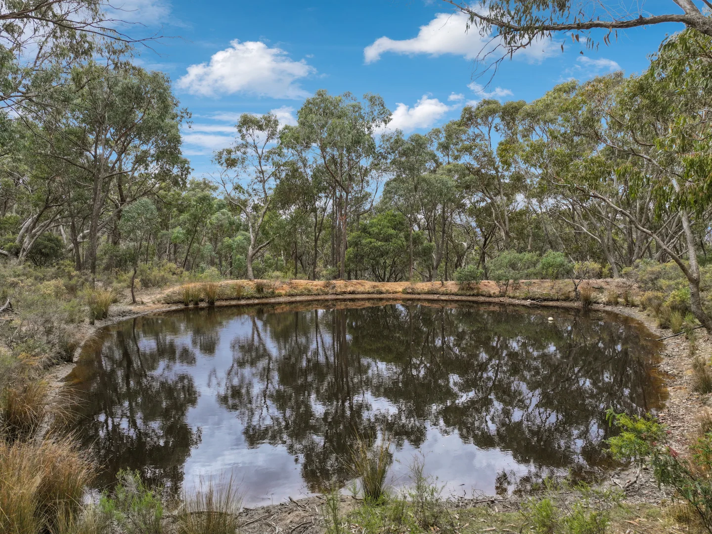 Additional image 23 of Mount Rankin NSW 2795