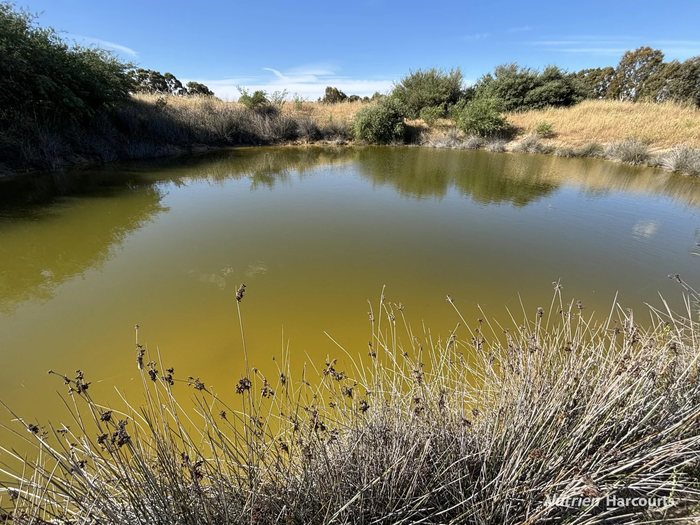 Additional image 24 of . 'Forrestine Farm', Cunderdin WA 6407