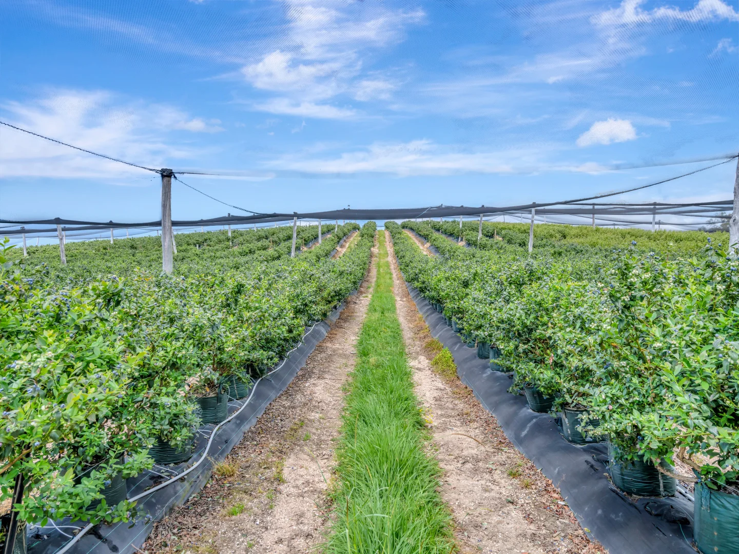 Additional image 8 of 13 Schuppe Drive, Congarinni North NSW 2447