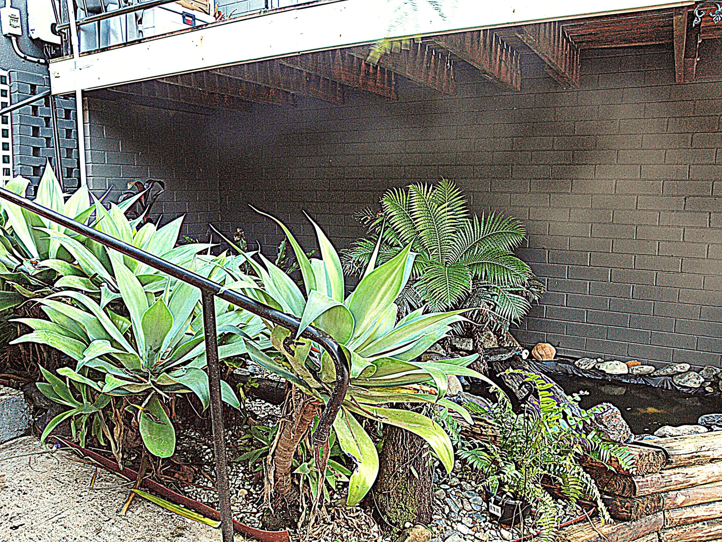 Additional image 21 of 43 Coramba Road, Coffs Harbour NSW 2450